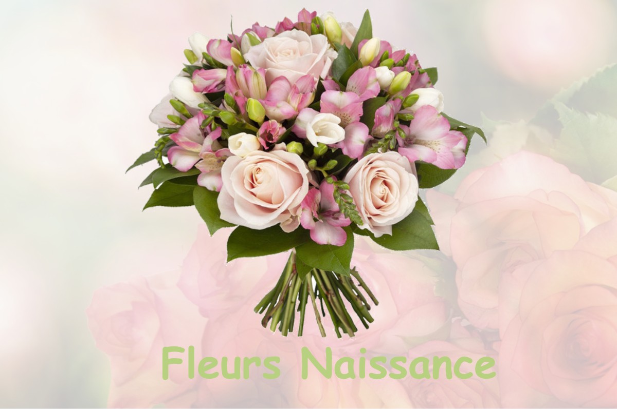 fleurs naissance HIS